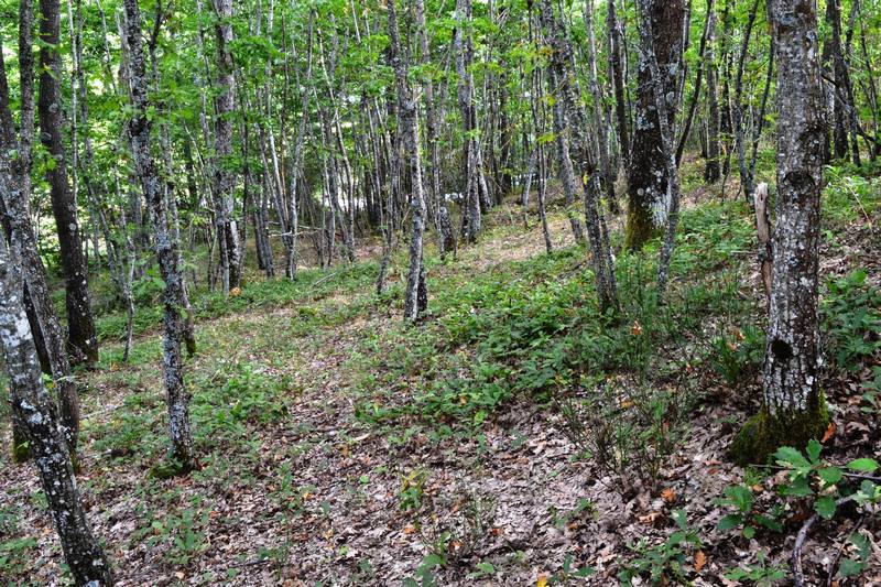 in cerreta con i soci dei Monti Sibillini